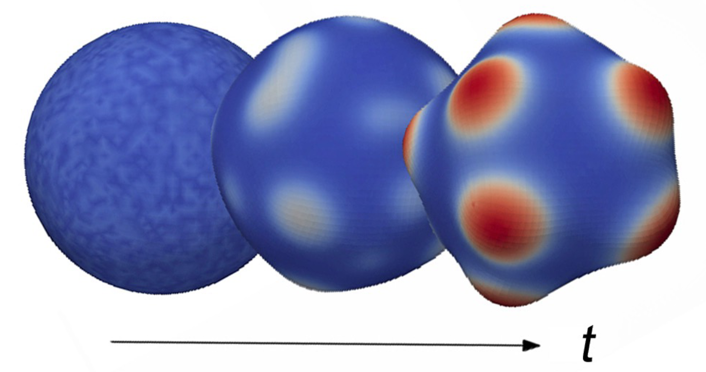 Symmetry-breaking and pattern formation in a  PDE model of mechano-chemical interactions